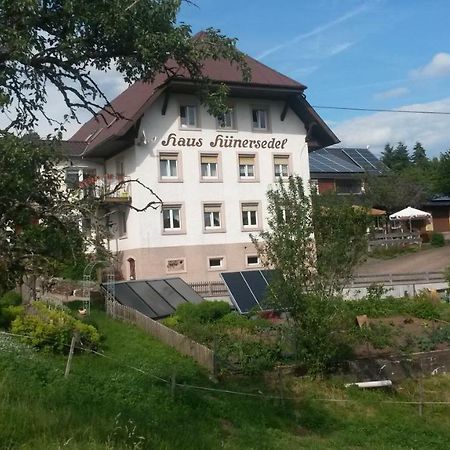 Ferienwohnung S' Plaetzli Freiamt エクステリア 写真