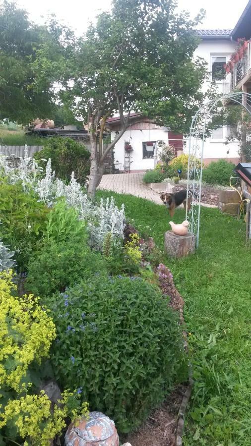 Ferienwohnung S' Plaetzli Freiamt エクステリア 写真